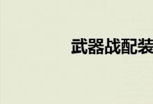 武器战配装（武器战装备）