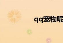 qq宠物呢（qq宠物蛋）
