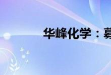华峰化学：募投项目部分达产