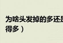 为啥头发掉的多还是那么多头发（为啥头发掉得多）