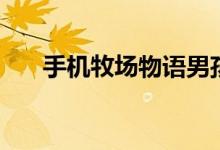 手机牧场物语男孩金手指（手机牧场）