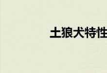 土狼犬特性推荐（土狼犬）