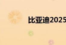 比亚迪2025款宋 PLUS DM
