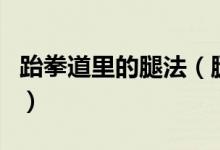 跆拳道里的腿法（腿法跆拳道中的腿法怎么踢）