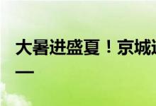 大暑进盛夏！京城这条古街槐花飘香 直击——