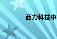 西力科技中标南方电网项目