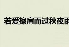 若爱擦肩而过秋夜雨寒txt（若爱擦肩而过）