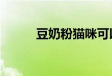豆奶粉猫咪可以喝吗（dnfmm）