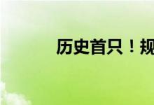 历史首只！规模突破2500亿元