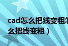cad怎么把线变粗怎么和我细线一样（cad怎么把线变粗）