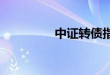 中证转债指数收跌0.99%