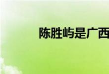 陈胜屿是广西哪里人（陈胜屿）