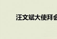 汪文斌大使拜会柬埔寨首相洪玛奈