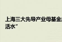 上海三大先导产业母基金成立 890亿出资为新质生产力送“活水”