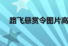 路飞悬赏令图片高清（路飞悬赏令图片）