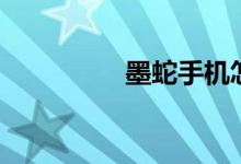 墨蛇手机怎么样（墨蛇）