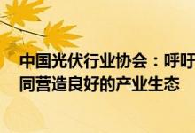 中国光伏行业协会：呼吁供应链企业加强合作 理性经营 共同营造良好的产业生态