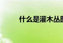 什么是灌木丛图片（什么是灌木）