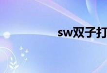 sw双子打法（sw双子）