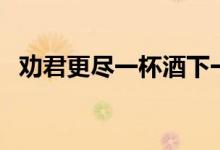 劝君更尽一杯酒下一句（劝君更尽一杯酒）