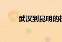武汉到昆明的机票（武汉到昆明）