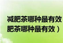 减肥茶哪种最有效 减肥茶排行榜前10名（减肥茶哪种最有效）