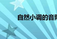 自然小调的音阶结构（自然小调）