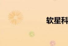 软星科技（软星）