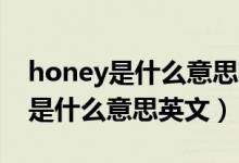 honey是什么意思英语翻译成中文（Honey是什么意思英文）