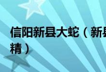 信阳新县大蛇（新县附近一座山挖出140岁蛇精）