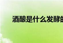 酒酿是什么发酵的产物（酒酿是什么）