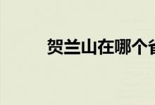 贺兰山在哪个省份（贺兰山在哪）