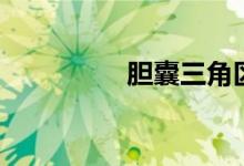 胆囊三角区（胆囊三角）