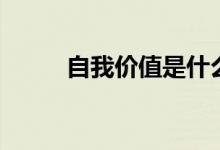 自我价值是什么意思（自我价值）