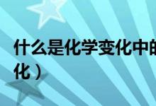 什么是化学变化中的最小微粒（什么是化学变化）