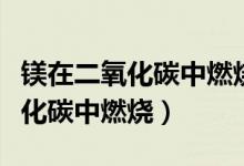 镁在二氧化碳中燃烧是置换反应吗（镁在二氧化碳中燃烧）