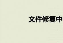 文件修复中（dii文件修复）