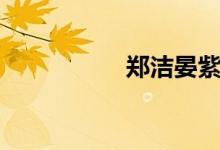 郑洁晏紫冠军（郑洁）