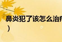 鼻炎犯了该怎么治疗（鼻炎犯了怎么办小妙招）