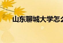 山东聊城大学怎么样（山东聊城大学）
