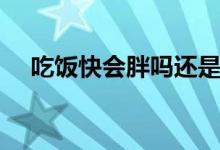 吃饭快会胖吗还是会瘦（吃饭快会胖吗）