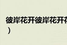 彼岸花开彼岸花开花落几世缘（彼岸花开彼岸）
