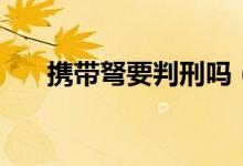 携带弩要判刑吗（男子带弩箭坐火车）