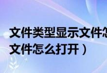 文件类型显示文件怎么打开呢（文件类型显示文件怎么打开）