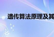 遗传算法原理及其应用（遗传算法原理）