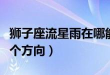 狮子座流星雨在哪能看到（狮子座流星雨在哪个方向）