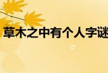 草木之中有个人字谜答案（草木之中有个人）