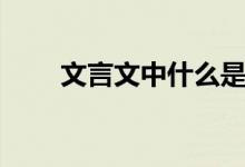 文言文中什么是虚词（什么是虚词）