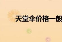 天堂伞价格一般多少（天堂伞价格）