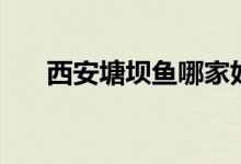 西安塘坝鱼哪家好（西安小苏塘坝鱼）